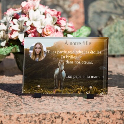 Plaque funéraire cheval-dans-nature 11 Plaquedeces.fr
