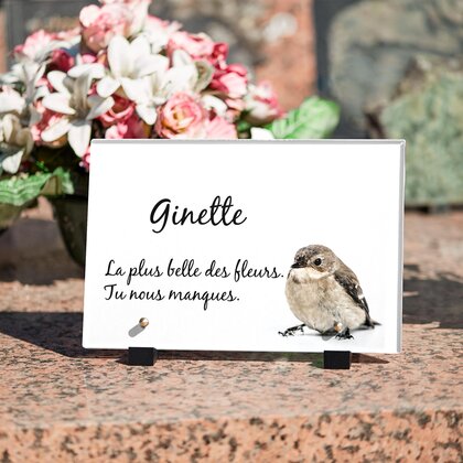 Plaque funéraire oiseau-blanc 22 Plaquedeces.fr
