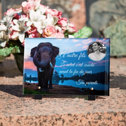 Plaque funéraire plaque-funeraire-elephant 9 Plaquedeces.fr
