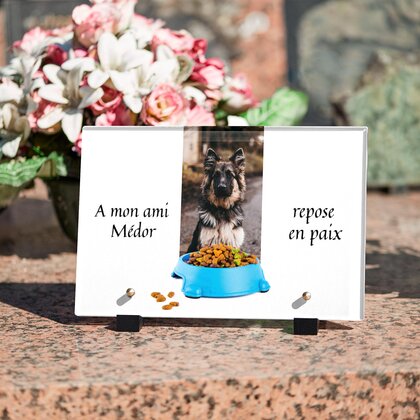 Plaque funéraire croquette 28 Plaquedeces.fr
