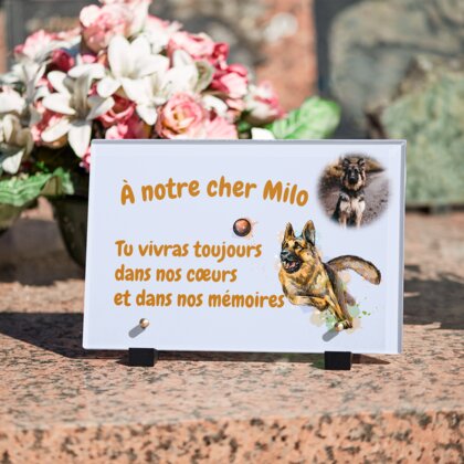 Plaque funéraire plaque-funeraire-berger-allemand 11 Plaquedeces.fr
