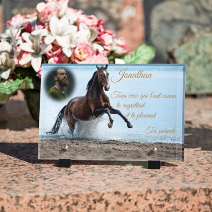 Plaque funéraire cheval-au-bord-de-lac 24 Plaquedeces.fr
