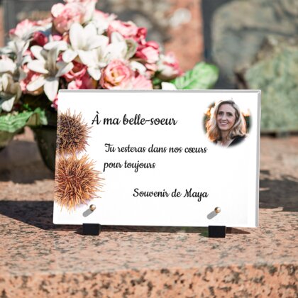 Plaque funéraire oursin-de-mer 2 Plaquedeces.fr
