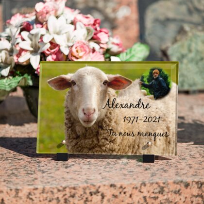 Plaque funéraire plaque-funeraire-brebis 5 Plaquedeces.fr
