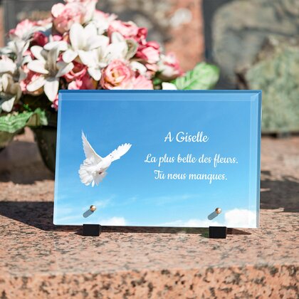 Plaque funéraire colombe-ciel-bleu 24 Plaquedeces.fr

