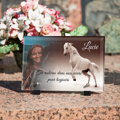 Plaque funéraire cheval-blanc 21 Plaquedeces.fr
