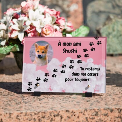 Plaque funéraire empreinte-chien-pastel 7 Plaquedeces.fr
