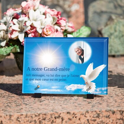 Plaque funéraire colombe 12 Plaquedeces.fr
