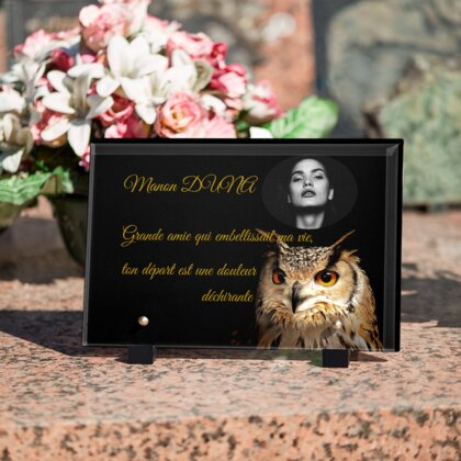 Plaque funéraire plaque-funeraire-hibou 14 Plaquedeces.fr
