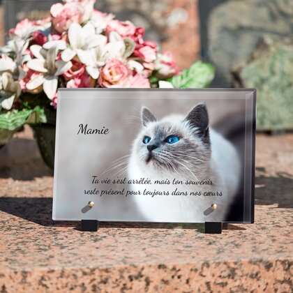 Plaque funéraire chat-majestueux 1 Plaquedeces.fr
