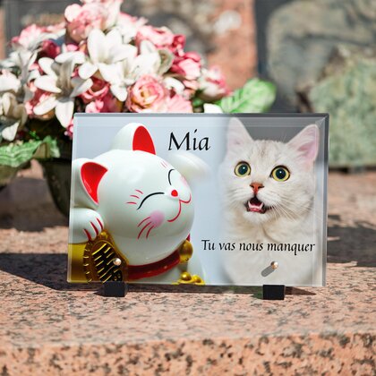 Plaque funéraire chat-de-la-chance 25 Plaquedeces.fr
