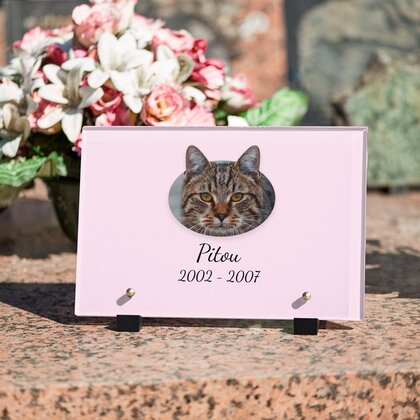 Plaque funéraire chat-cartoon 7 Plaquedeces.fr
