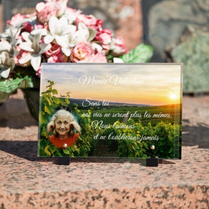 Plaque funéraire plaque-funeraire-vignes 20 Plaquedeces.fr
