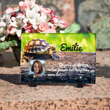 Plaque funéraire plaque-funeraire-tortue 30 Plaquedeces.fr
