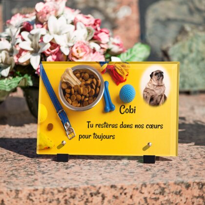 Plaque funéraire accessoires-pour-chiens 1 Plaquedeces.fr

