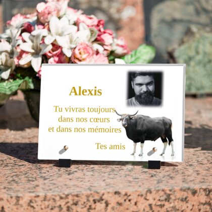 Plaque funéraire plaque-funeraire-taureau 20 Plaquedeces.fr
