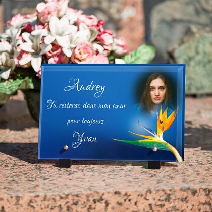 Plaque funéraire fleur-du-paradis 12 Plaquedeces.fr
