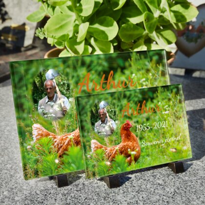 Plaque funéraire plaque-funeraire-poule 10 Plaquedeces.fr
