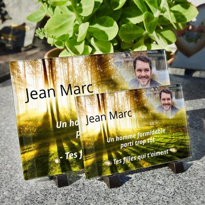 Plaque funéraire soleil-dans-les-arbres 6 Plaquedeces.fr

