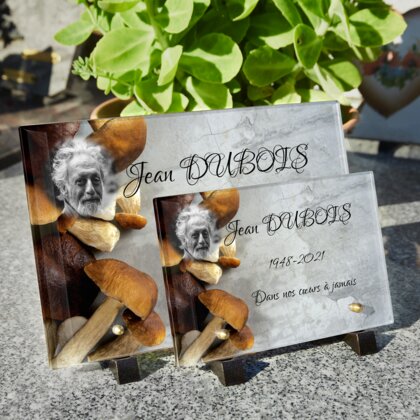 Plaque funéraire champignons-sur-pierre 5 Plaquedeces.fr
