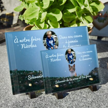 Plaque funéraire chat-en-pleine-nuit 15 Plaquedeces.fr
