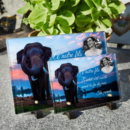 Plaque funéraire plaque-funeraire-elephant 18 Plaquedeces.fr
