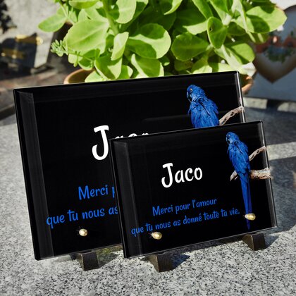 Plaque funéraire perroquet-bleu 7 Plaquedeces.fr
