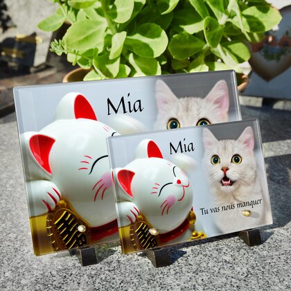 Plaque funéraire chat-de-la-chance 12 Plaquedeces.fr
