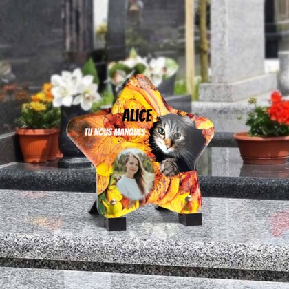 Plaque funéraire chaton-parmi-des-feuilles-forme-etoile 4 Plaquedeces.fr
