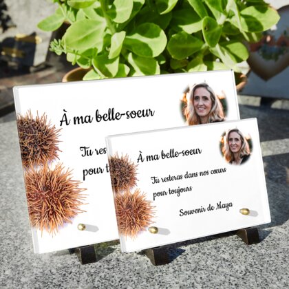 Plaque funéraire oursin-de-mer 15 Plaquedeces.fr
