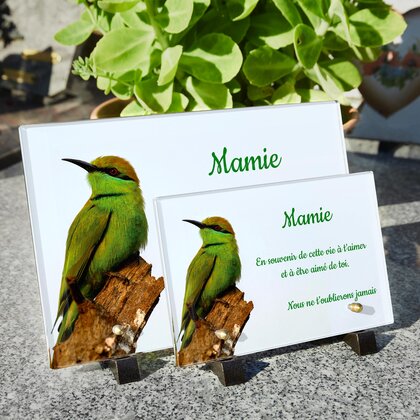 Plaque funéraire bel-oiseau-vert 1 Plaquedeces.fr

