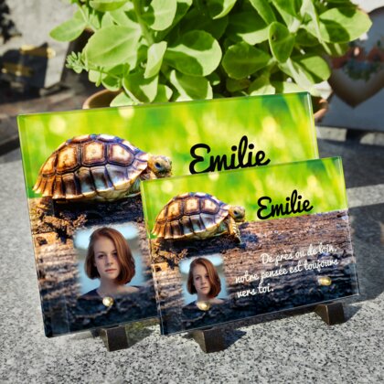 Plaque funéraire plaque-funeraire-tortue 19 Plaquedeces.fr
