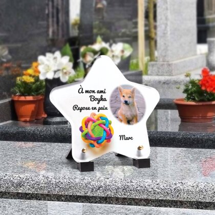 Plaque funéraire balle-pour-chiens-forme-etoile 21 Plaquedeces.fr

