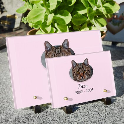 Plaque funéraire chat-cartoon 8 Plaquedeces.fr
