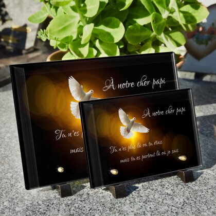 Plaque funéraire colombe-dans-ciel-noir 6 Plaquedeces.fr
