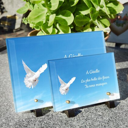 Plaque funéraire colombe-ciel-bleu 3 Plaquedeces.fr
