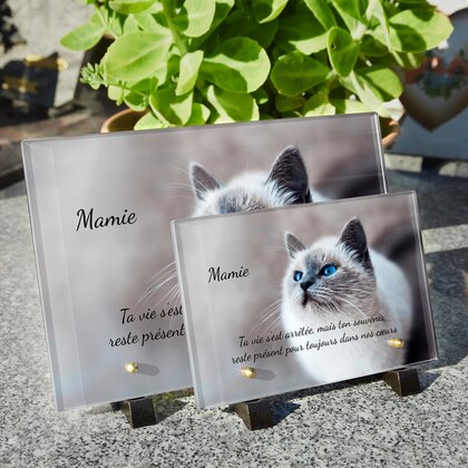 Plaque funéraire chat-majestueux 22 Plaquedeces.fr
