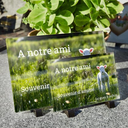 Plaque funéraire agneau 17 Plaquedeces.fr
