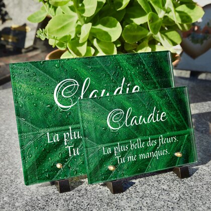 Plaque funéraire feuille-humide 14 Plaquedeces.fr
