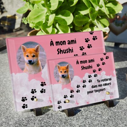 Plaque funéraire empreinte-chien-pastel 25 Plaquedeces.fr
