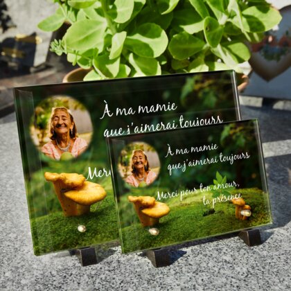 Plaque funéraire plaque-funeraire-champignon 5 Plaquedeces.fr
