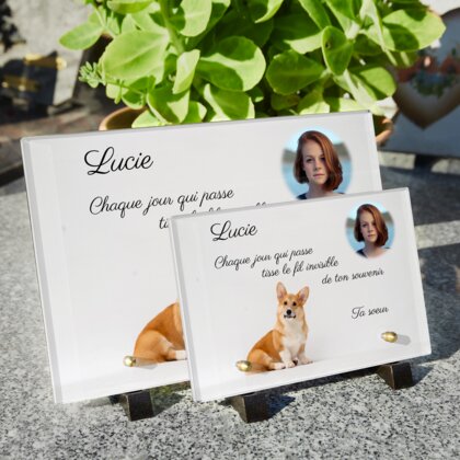 Plaque funéraire corgi-enjoue 1 Plaquedeces.fr
