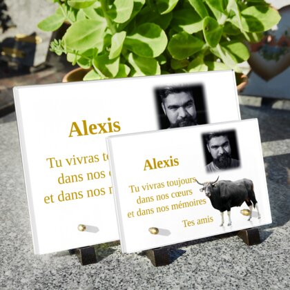 Plaque funéraire plaque-funeraire-taureau 7 Plaquedeces.fr
