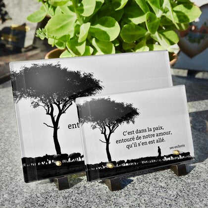 Plaque funéraire arbre-brume 6 Plaquedeces.fr
