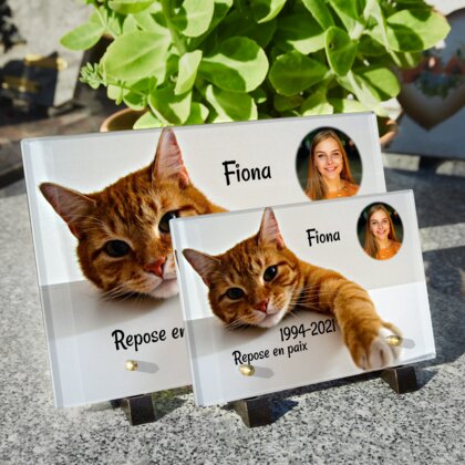 Plaque funéraire chat-orange 6 Plaquedeces.fr
