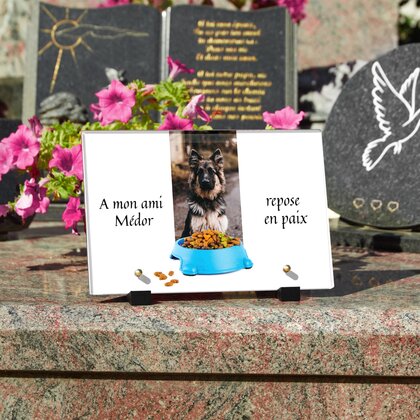 Plaque funéraire croquette 17 Plaquedeces.fr
