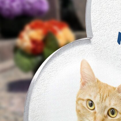 Plaque funéraire souris-robot-forme-coeur 23 Plaquedeces.fr
