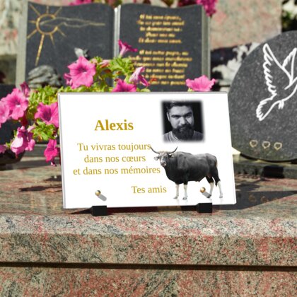 Plaque funéraire plaque-funeraire-taureau 25 Plaquedeces.fr
