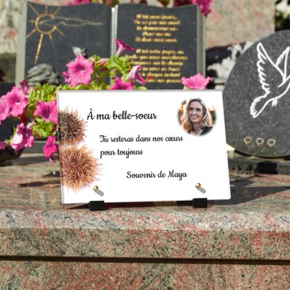 Plaque funéraire oursin-de-mer 19 Plaquedeces.fr
