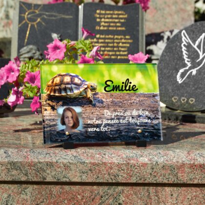 Plaque funéraire plaque-funeraire-tortue 30 Plaquedeces.fr
